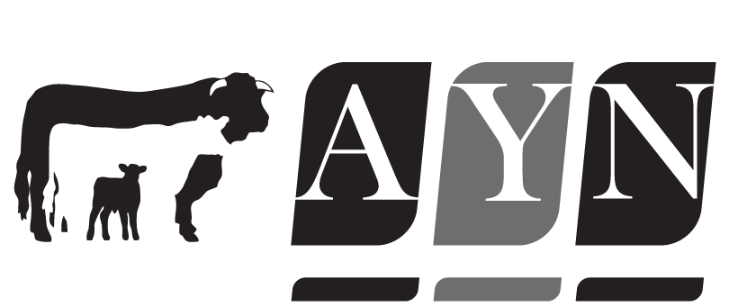 AYN LIVESTOCK – IMPORT & EXPORT